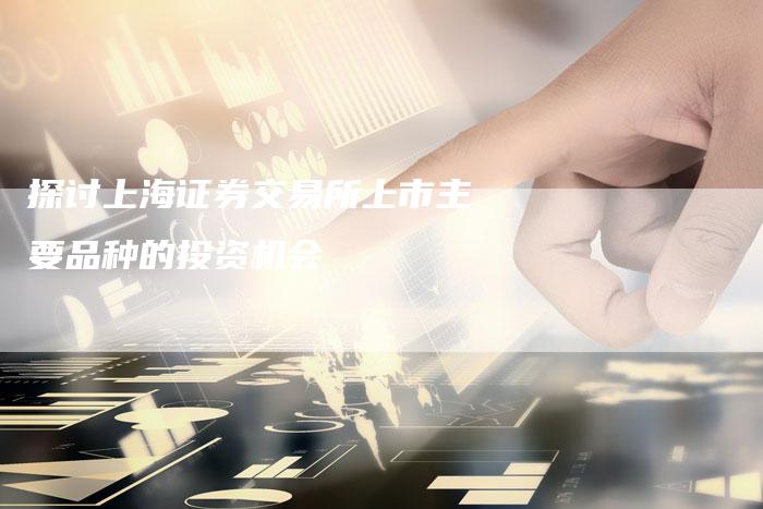 探讨上海证券交易所上市主要品种的投资机会