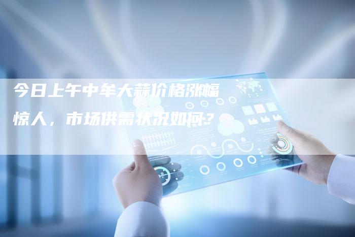 今日上午中牟大蒜价格涨幅惊人，市场供需状况如何？