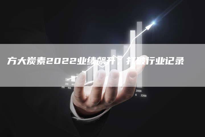 方大炭素2022业绩飙升，打破行业记录