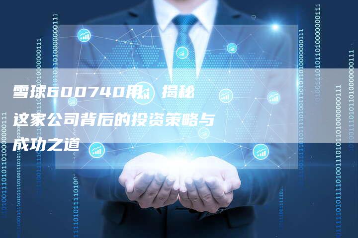 雪球600740用：揭秘这家公司背后的投资策略与成功之道