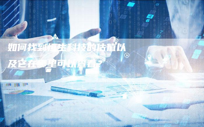 如何找到恒生科技的估值以及它在哪里可以查看？