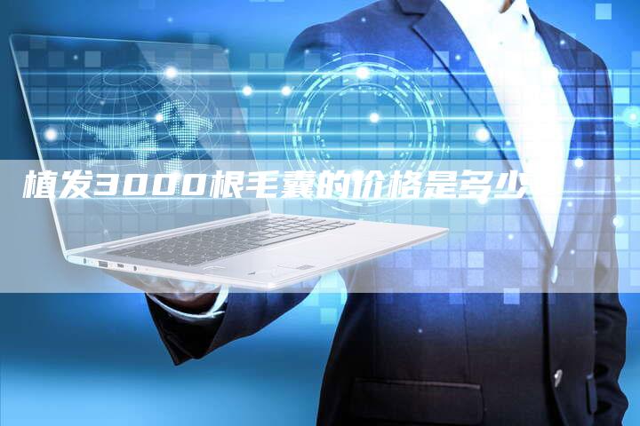 植发3000根毛囊的价格是多少？