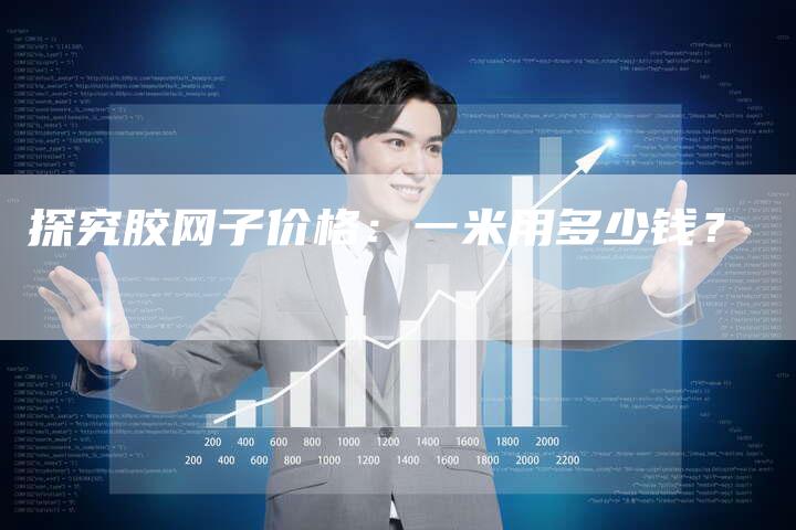 探究胶网子价格：一米用多少钱？