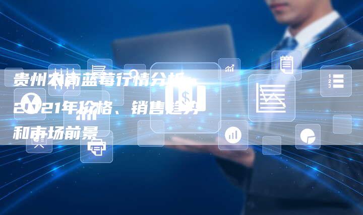 贵州农商蓝莓行情分析： 2021年价格、销售趋势和市场前景