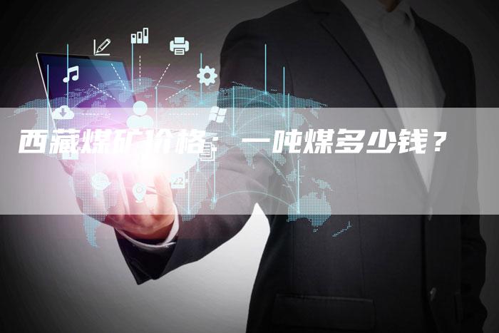 西藏煤矿价格：一吨煤多少钱？