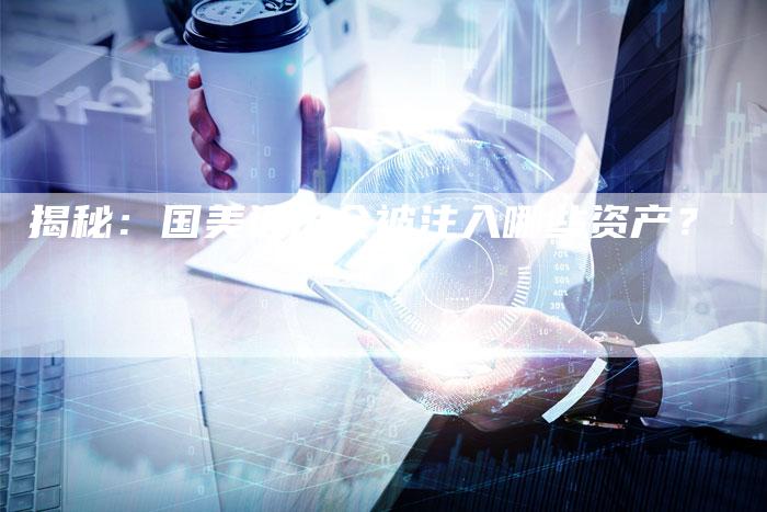 揭秘：国美通讯会被注入哪些资产？