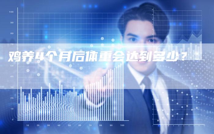 鸡养4个月后体重会达到多少？