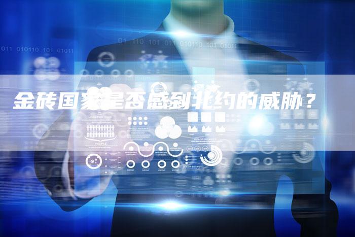 金砖国家是否感到北约的威胁？