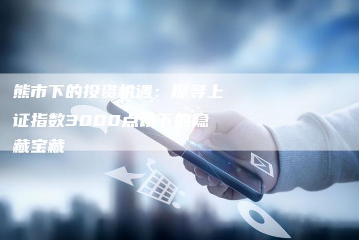 熊市下的投资机遇：探寻上证指数3000点以下的隐藏宝藏