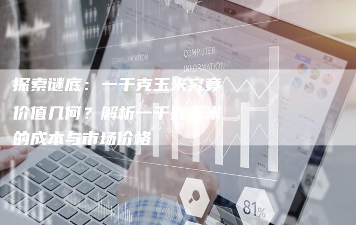 探索谜底：一千克玉米究竟价值几何？解析一千克玉米的成本与市场价格