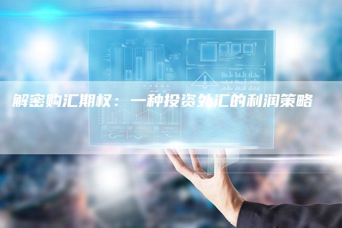 解密购汇期权：一种投资外汇的利润策略