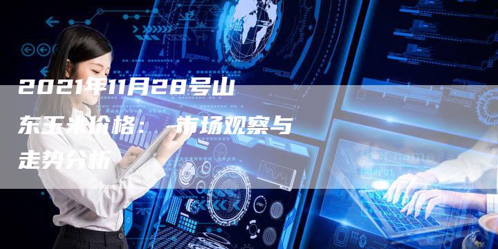2021年11月28号山东玉米价格： 市场观察与走势分析