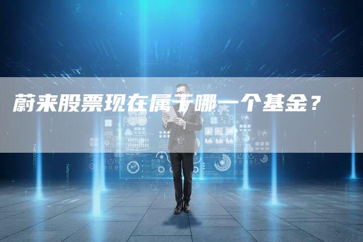 蔚来股票现在属于哪一个基金？