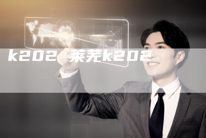 k202 莱芜k202