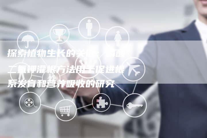 探索植物生长的关键：磷酸二氢钾灌根方法用于促进根系发育和营养吸收的研究