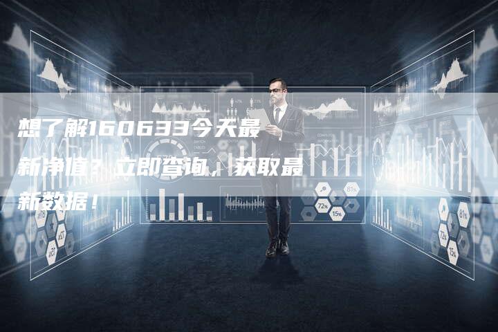 想了解160633今天最新净值？立即查询，获取最新数据！