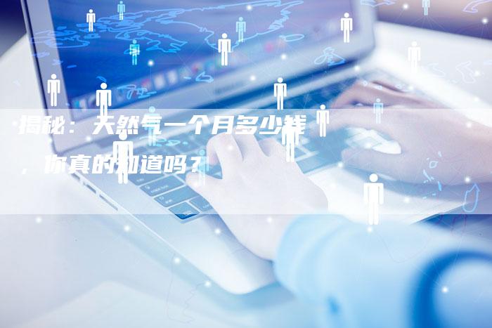 揭秘：天然气一个月多少钱，你真的知道吗？