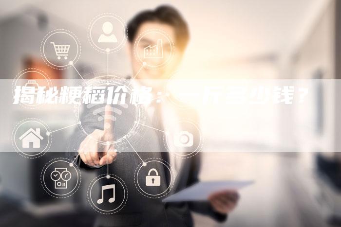 揭秘粳稻价格：一斤多少钱？