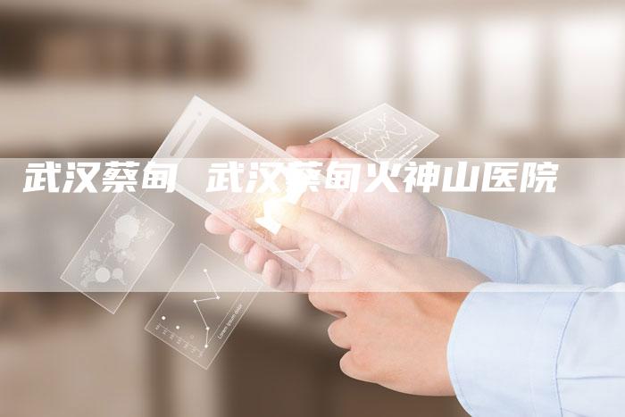 武汉蔡甸 武汉蔡甸火神山医院