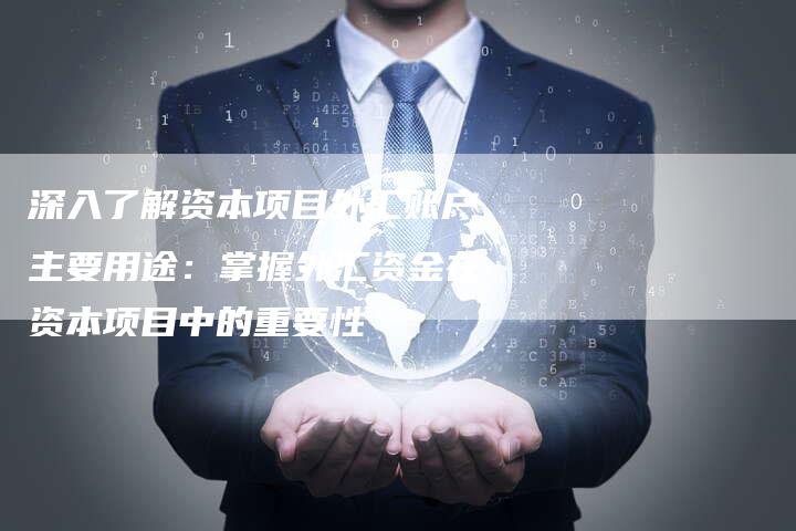 深入了解资本项目外汇账户主要用途：掌握外汇资金在资本项目中的重要性