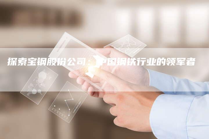 探索宝钢股份公司：中国钢铁行业的领军者