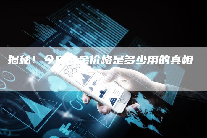 揭秘！今日白金价格是多少用的真相