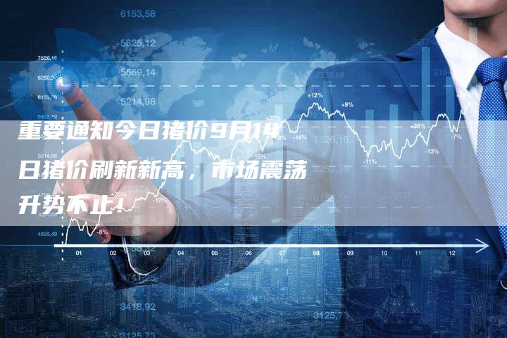 重要通知今日猪价9月14日猪价刷新新高，市场震荡升势不止！