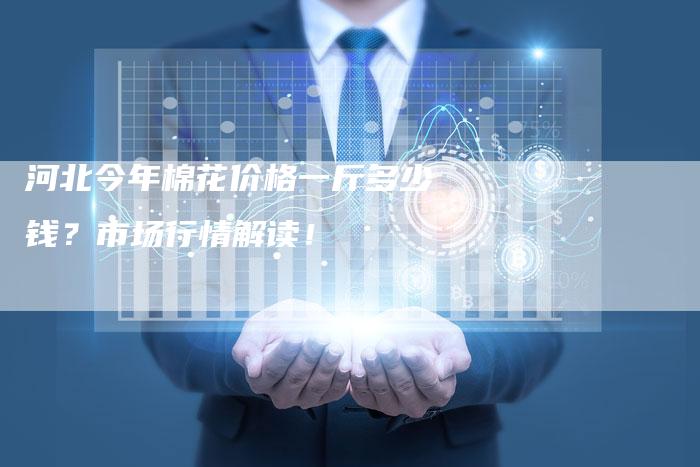 河北今年棉花价格一斤多少钱？市场行情解读！