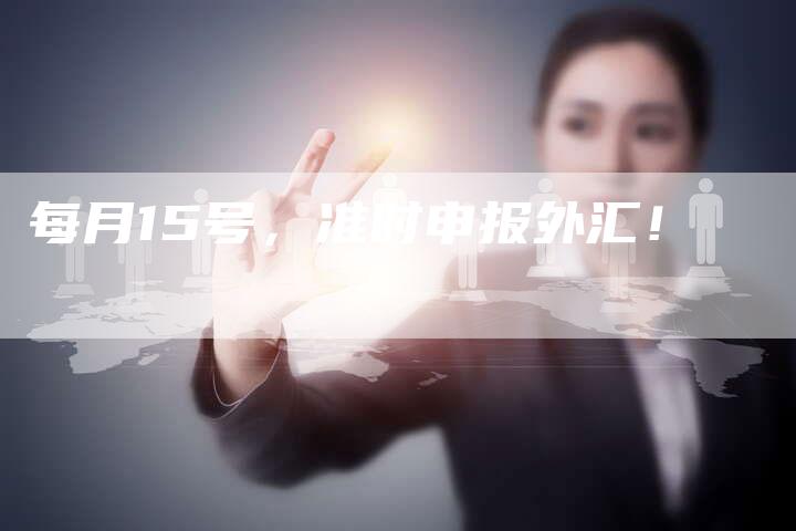 每月15号，准时申报外汇！