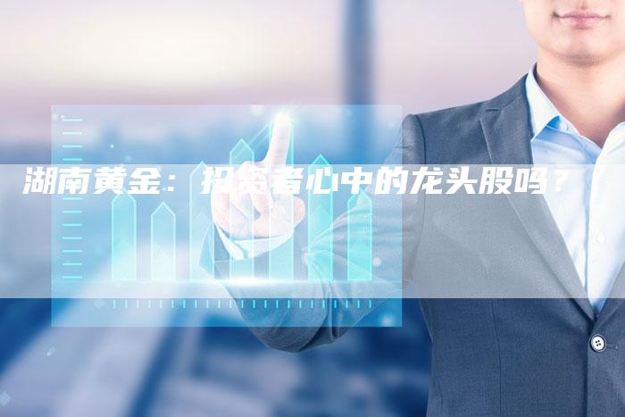 湖南黄金：投资者心中的龙头股吗？