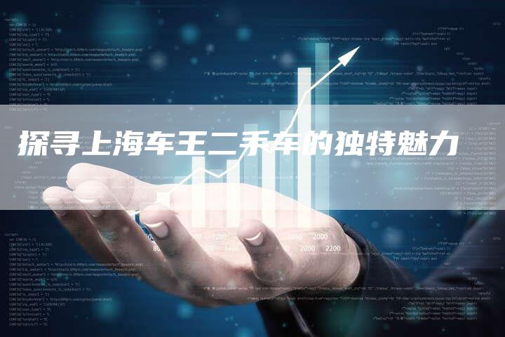 探寻上海车王二手车的独特魅力
