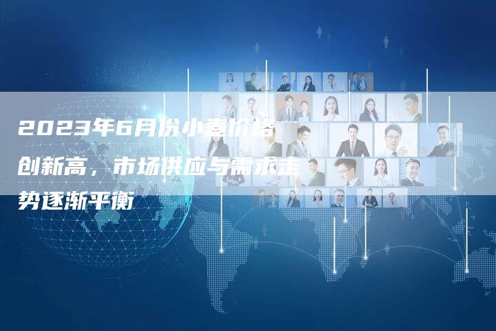 2023年6月份小麦价格创新高，市场供应与需求走势逐渐平衡