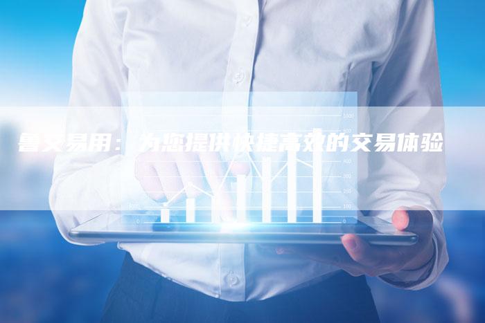 鲁交易用：为您提供快捷高效的交易体验