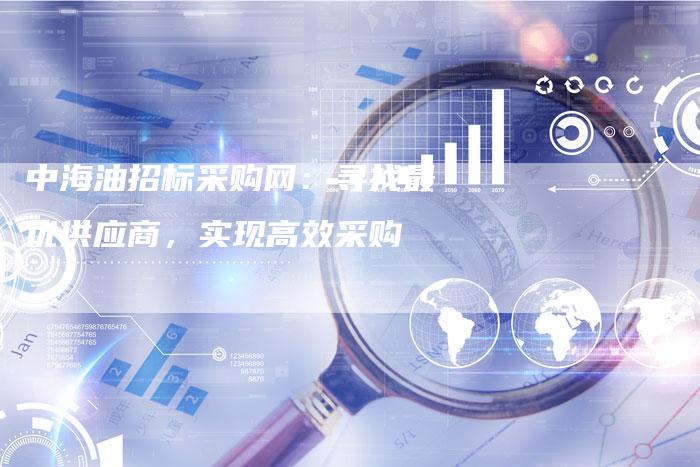 中海油招标采购网：寻找最优供应商，实现高效采购