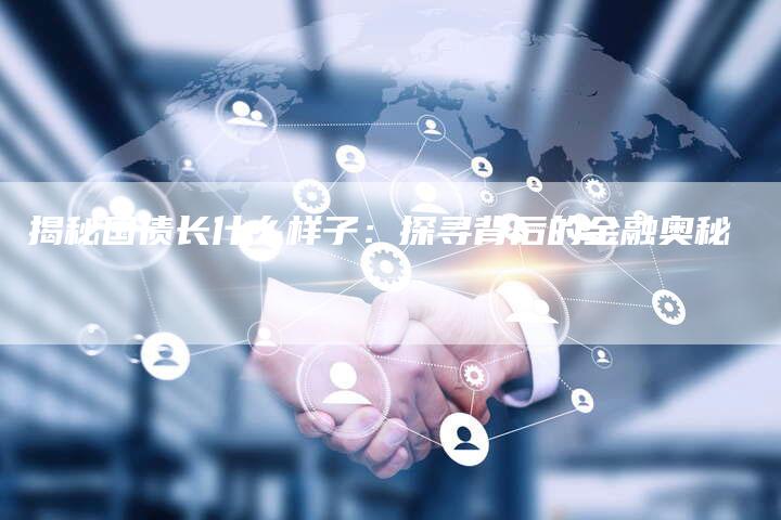揭秘国债长什么样子：探寻背后的金融奥秘