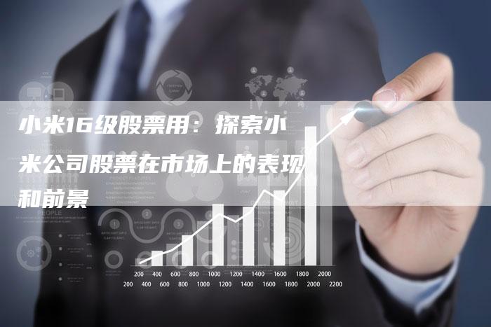 小米16级股票用：探索小米公司股票在市场上的表现和前景