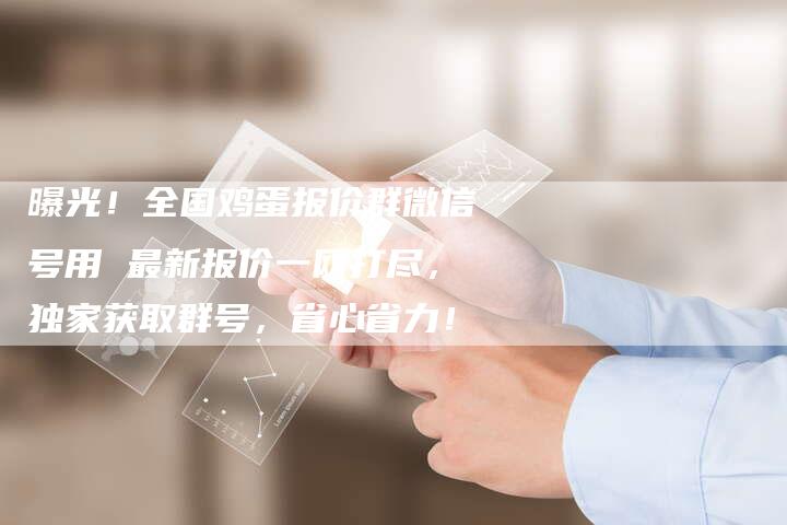 曝光！全国鸡蛋报价群微信号用 最新报价一网打尽，独家获取群号，省心省力！