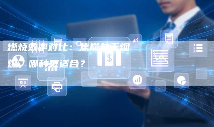 燃烧效率对比：焦炭与无烟煤，哪种更适合？
