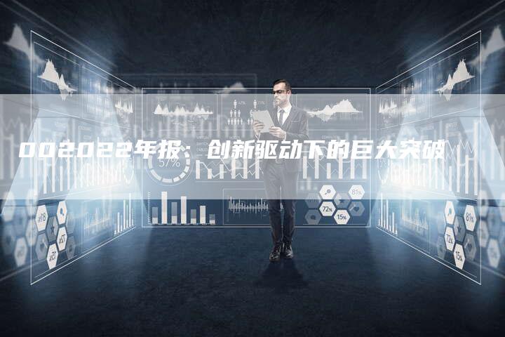002022年报：创新驱动下的巨大突破