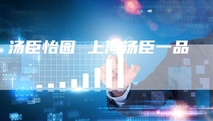 汤臣怡园 上海汤臣一品