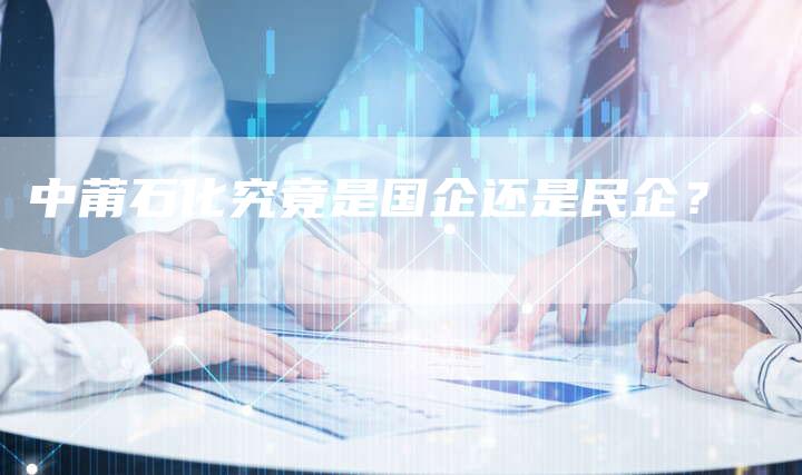 中莆石化究竟是国企还是民企？