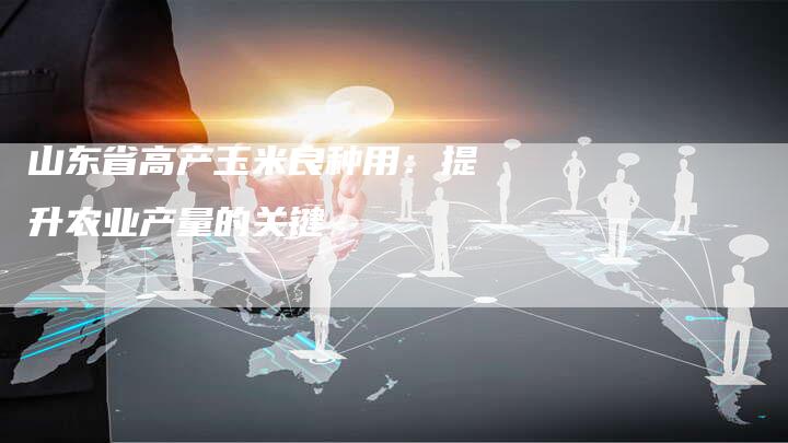 山东省高产玉米良种用：提升农业产量的关键