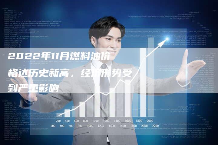 2022年11月燃料油价格达历史新高，经济形势受到严重影响