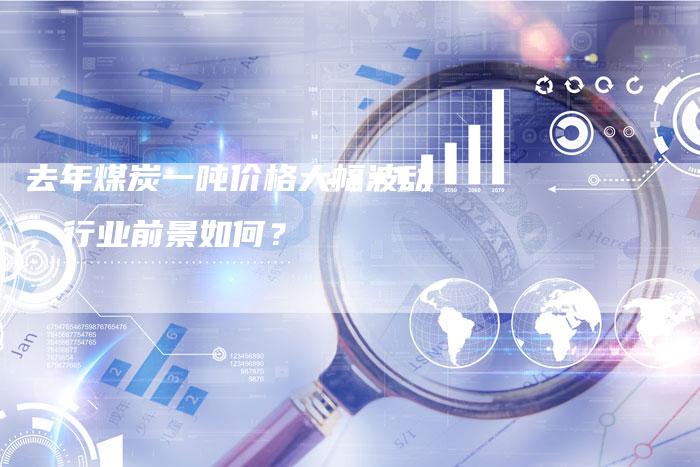 去年煤炭一吨价格大幅波动，行业前景如何？