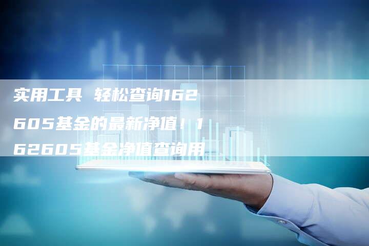 实用工具 轻松查询162605基金的最新净值！162605基金净值查询用