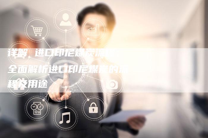 详解 进口印尼煤炭流程：全面解析进口印尼煤炭的流程及用途